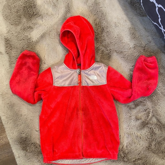 The North Face Other - The North Face Toddler Teddy Fleece